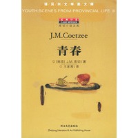 青春（库切小说文库）——经典印象