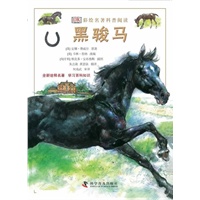 DK彩绘名著科普阅读--DK彩绘名著科普阅读——黑骏马