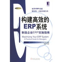 构建高效的ERP系统(制造企业ERP实施指南)/ERP经典译丛