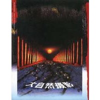 大自然摄影