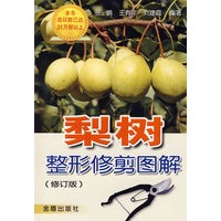 梨树整形修剪图解