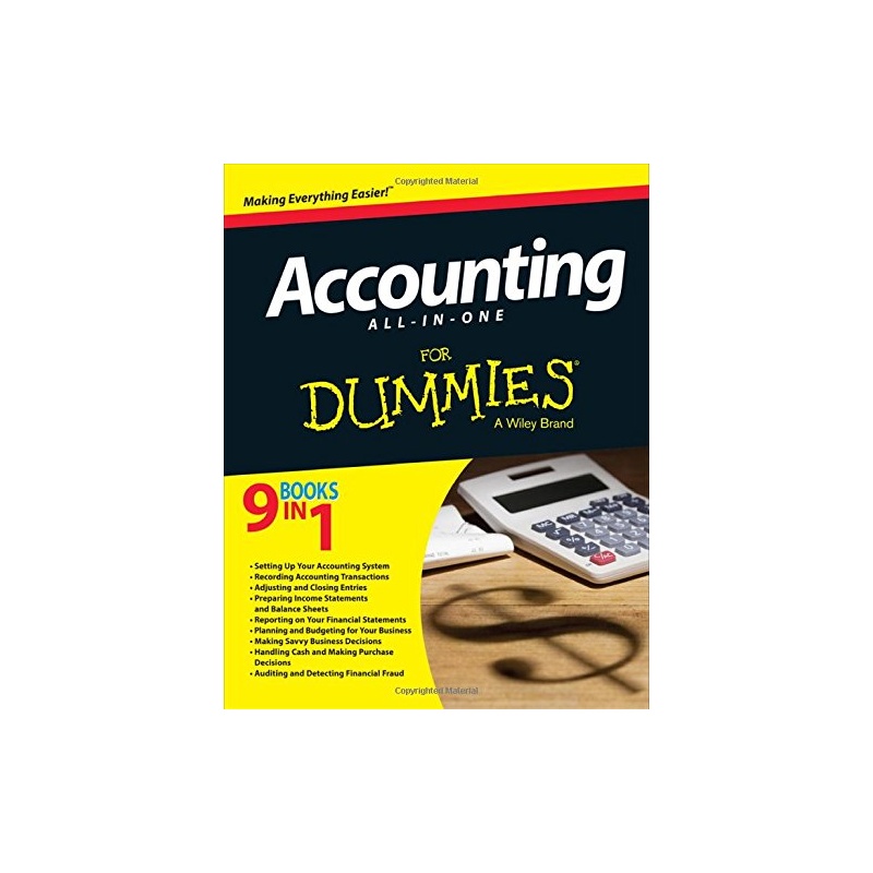 版 Accounting All-in-One For Dummies 会计学傻