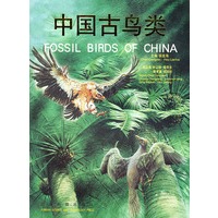 中国古鸟类