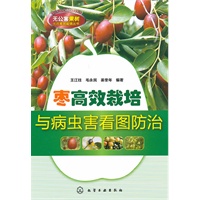 无公害果树优质高效栽培丛书--枣高效栽培与病虫害看图防治