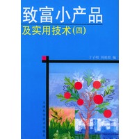 致富小产品及实用技术（四）