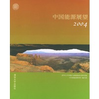 中国能源展望（2004）