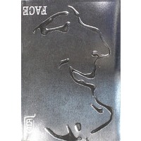 面子——中国时尚设计精品