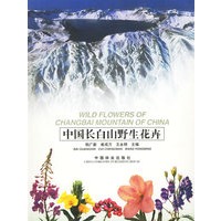 中国长白山野生花卉