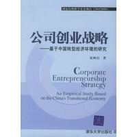 公司创业战略——基于中国转型经济环境的研究