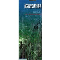 画家眼里的南国榕树——摄影资料丛书