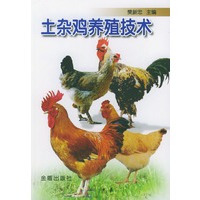 土杂鸡养殖技术