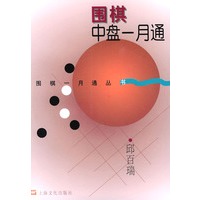 围棋中盘一月通