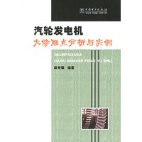 汽轮发电机大修难点分析与实例