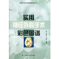 实用神经外科手术彩色图谱——实用手术彩色图谱系列丛书