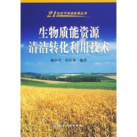 生物质能资源清洁转化利用技术/21世纪可持续能源丛书