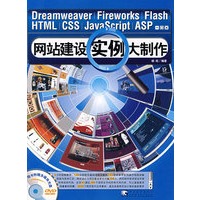 网站建设实例大制作（附赠1DVD）