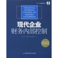 现代企业财务内部控制——现代企业风险控制丛书