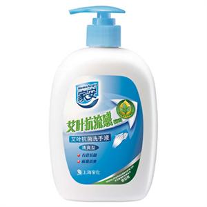 家安 艾叶抗菌洗手液（清爽型）450ml*2