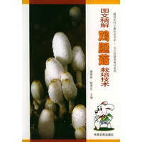 图文精解鸡腿菇栽培技术——建设农村小康社会书系·无公害养殖系列