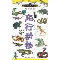 神秘的爬行动物