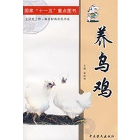 养乌鸡