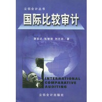 国际比较审计——立信会计丛书