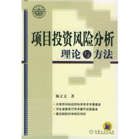 项目投资风险分析理论与方法