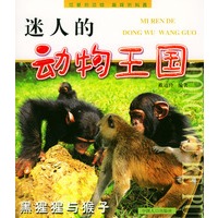 迷人的动物王国：黑猩猩与猴子
