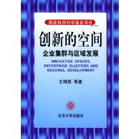 创新的空间:企业集群与区域发展