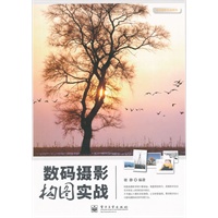 数码摄影构图实战(全彩)
