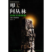 叩问丛林：玛雅文明探秘——失落的文明丛书