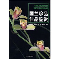 国兰珍品佳品鉴赏