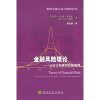 金融风险理论——从统计物理到风险管理（数理金融方法与建模译丛）