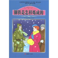 课程标准课外必读书少年儿童文学名著——钢铁是怎样炼成的