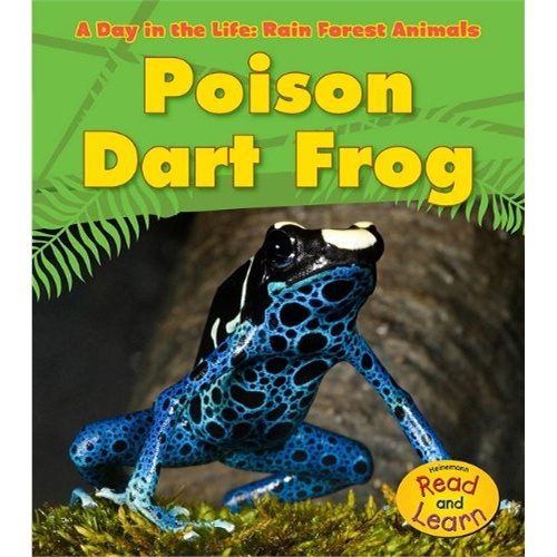 poison dart frog (a day in the life: rain forest