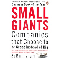 SMALL GIANTS 小公司的大智慧