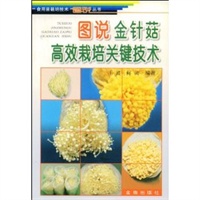 图说金针菇高效栽培关键技术——食用菌栽培技术图说丛书