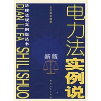 新版电力法实例说