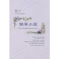 纳米小说