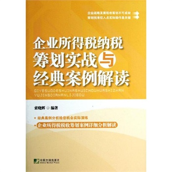 企业纳税筹划经典案例分析讲座小组,企业纳税