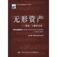 无形资产——管理、计量和呈报（中英文对照）