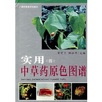 实用中草药原色图谱(4)精