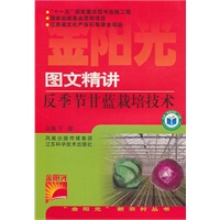 图文精讲反季节甘蓝栽培技术