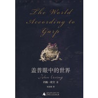 盖普眼中的世界