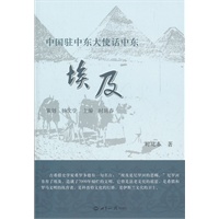 中国驻中东大使话中东埃及