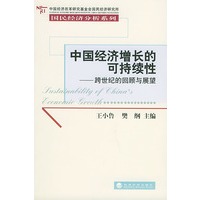 中国经济增长的可持续性（跨世纪的回顾与展望）——国民经济分析系列
