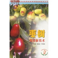 枣树栽培新技术