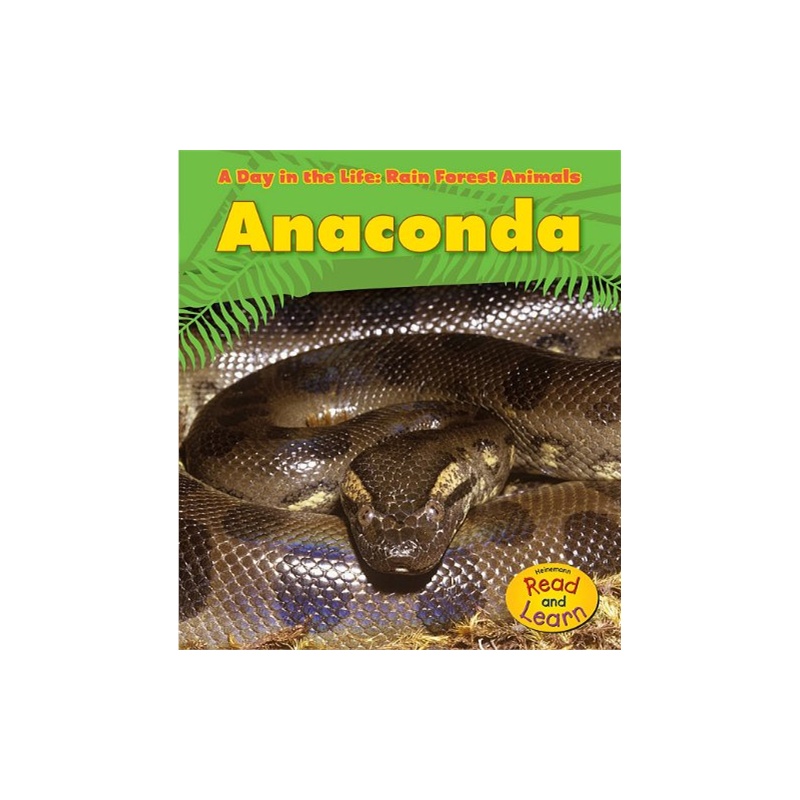 【Anaconda (A Day in the Life: Rain Forest An