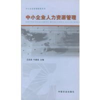 中小企业人力资源管理/中小企业管理精要系列