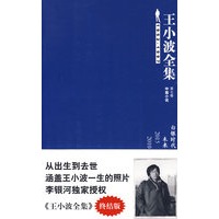 王小波全集7－白银时代(终结版)
